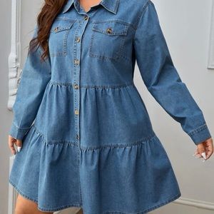 Ruffle Hem Denim Dress